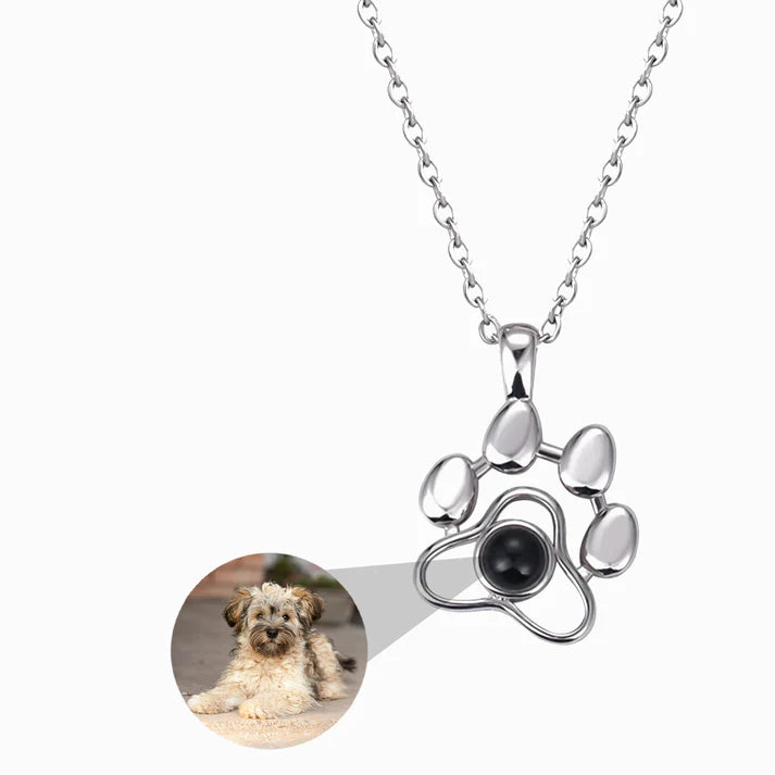 Collar Perrito con Foto Personalizada